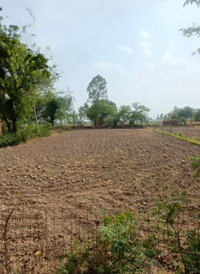 Khanna, Punjab, India preview 3