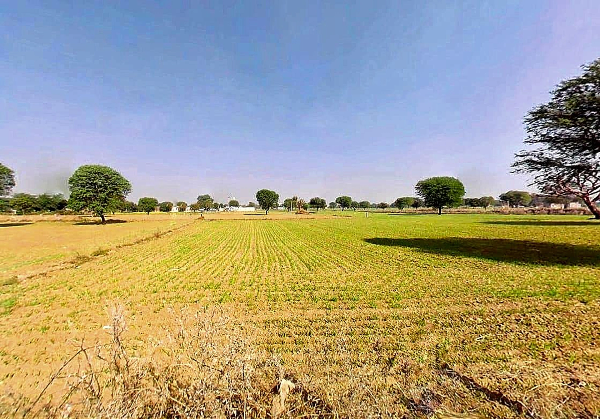 6MJ6+JFF, Balekhan, Rajasthan 303712, India