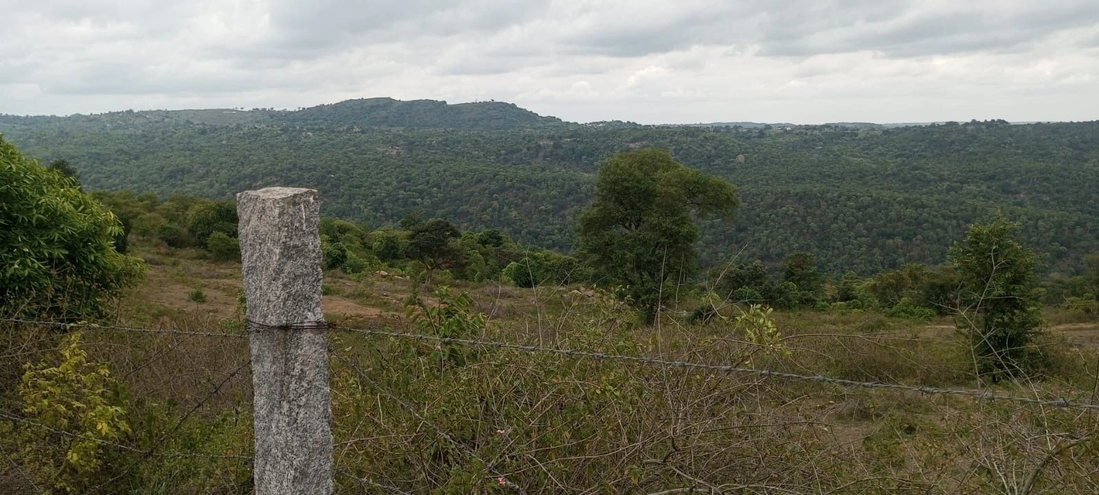 CMH8+6FM, Krishnagiri, Karadikkal, Tamil Nadu, India