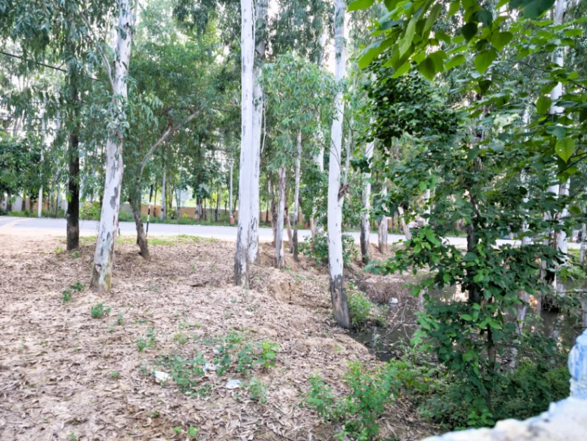 57GG+G5J, Yamunanagar, Jagadhri, Haryana, India