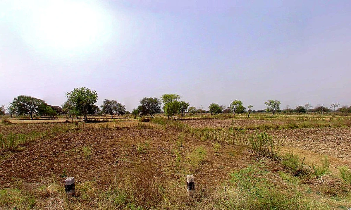 Samesar, Chhattisgarh 491337, India