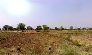 Samesar, Chhattisgarh 491337, India preview 2