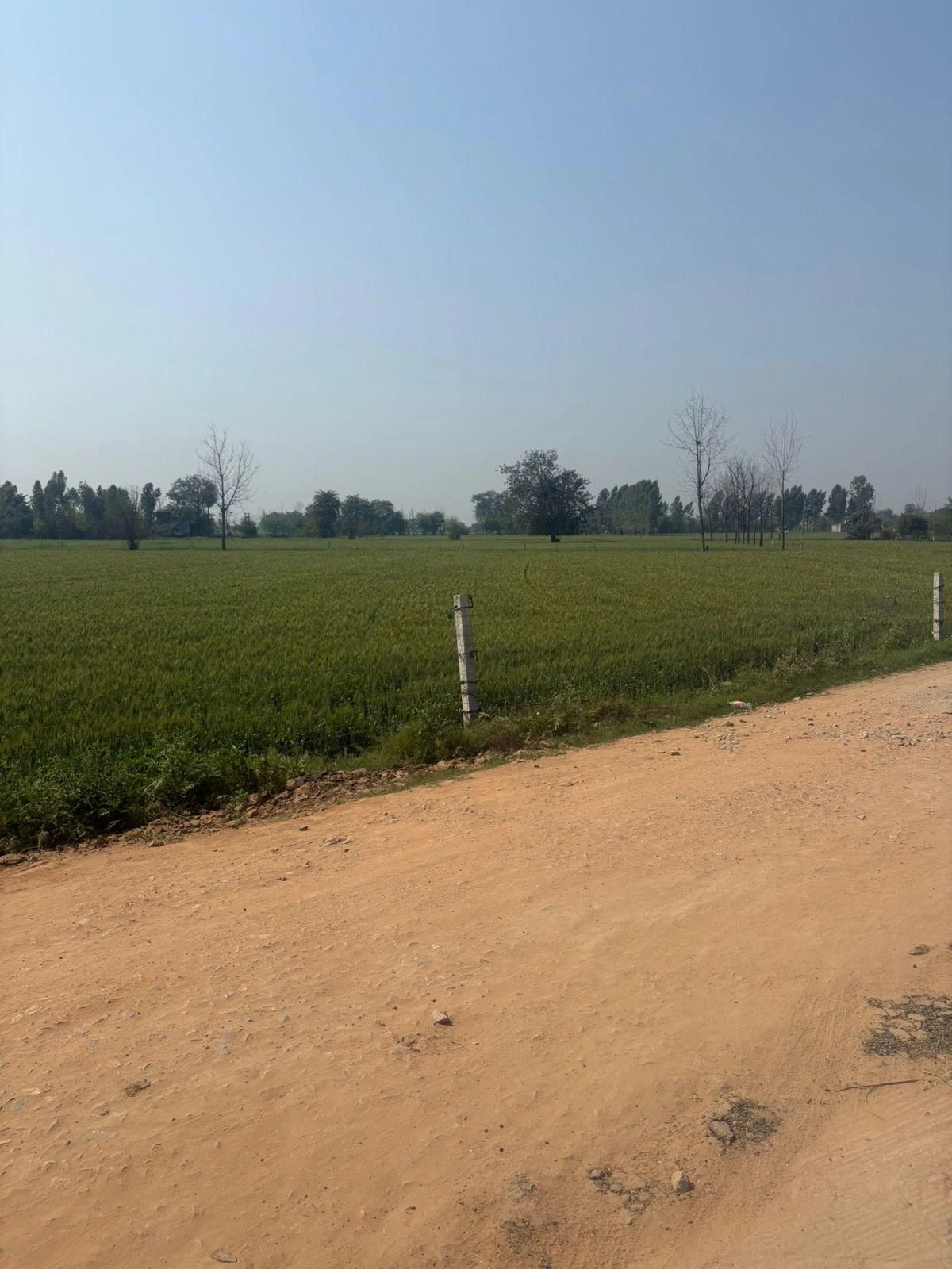 5GMR+RWW, Bagpur Khurd, Haryana, India