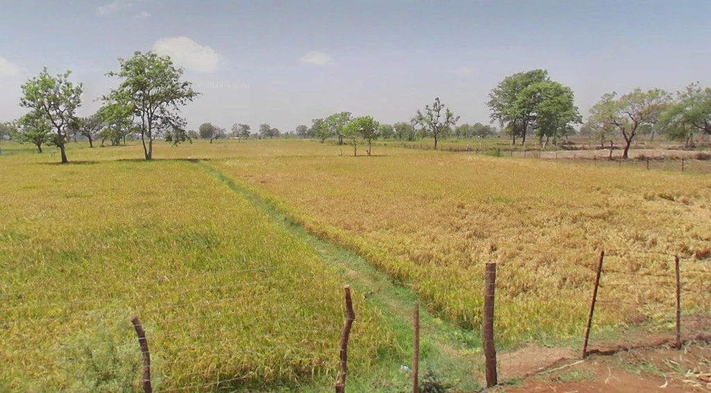 Dhaneli, Chhattisgarh, India