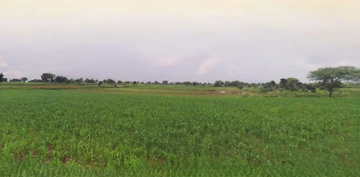 Hasanpur, Uttar Pradesh 244241, India preview 3