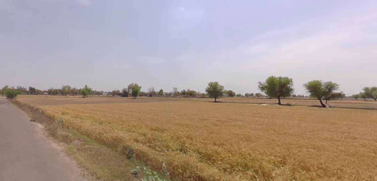 Shihori, Gujarat 385550, India