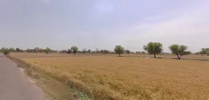 Shihori, Gujarat 385550, India preview 2