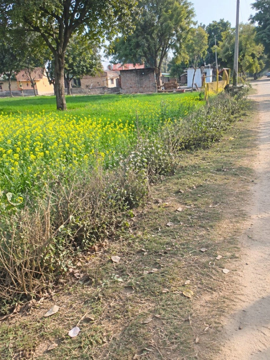 PVMH+P2J, Jaunpur, Paruwa, Uttar Pradesh 222170, India