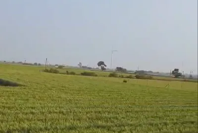 Dongarwada, Narmadapuram, Madhya Pradesh 461005, India preview 2