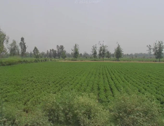 Moradabad - Sambhal Rd, Sirsi, Uttar Pradesh, India preview 2