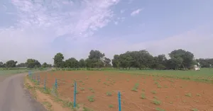 728C+J5 Odaki, Gujarat, India preview 2