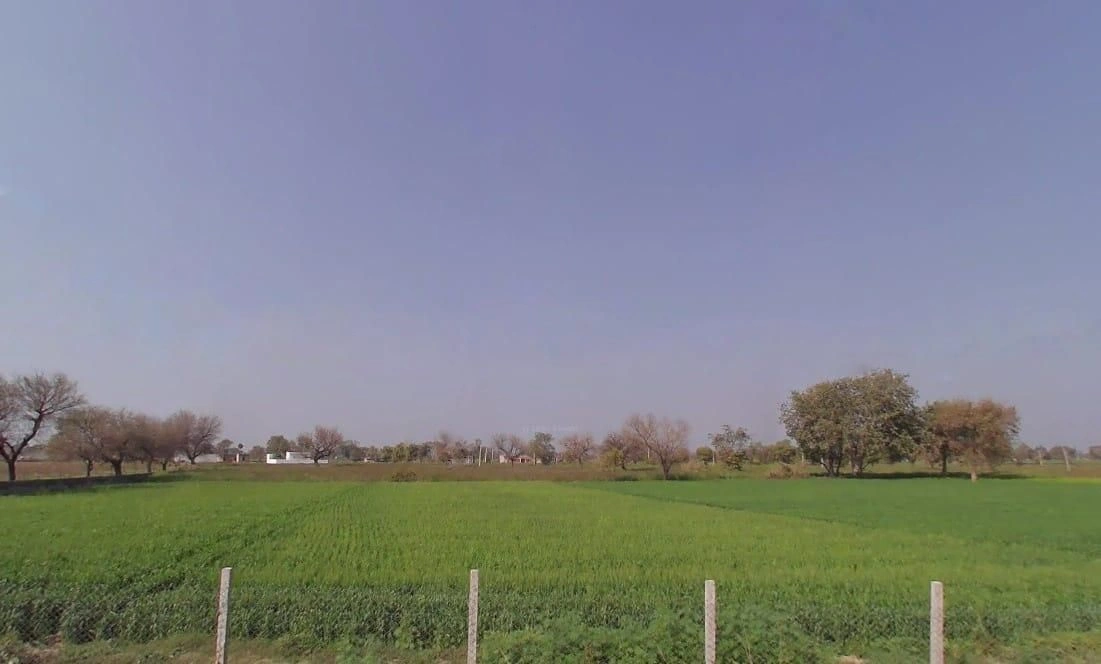 Barodameo, Rajasthan 301021, India