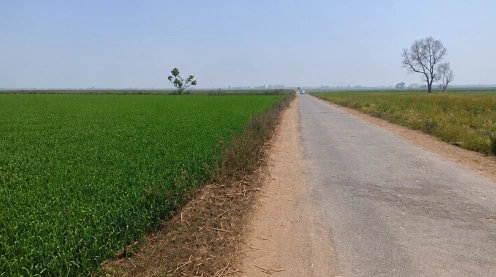 Nighasan, Lakhimpur Kheri, Uttar Pradesh 262903, India