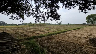 Barsana, Uttar Pradesh 281405, India preview 2