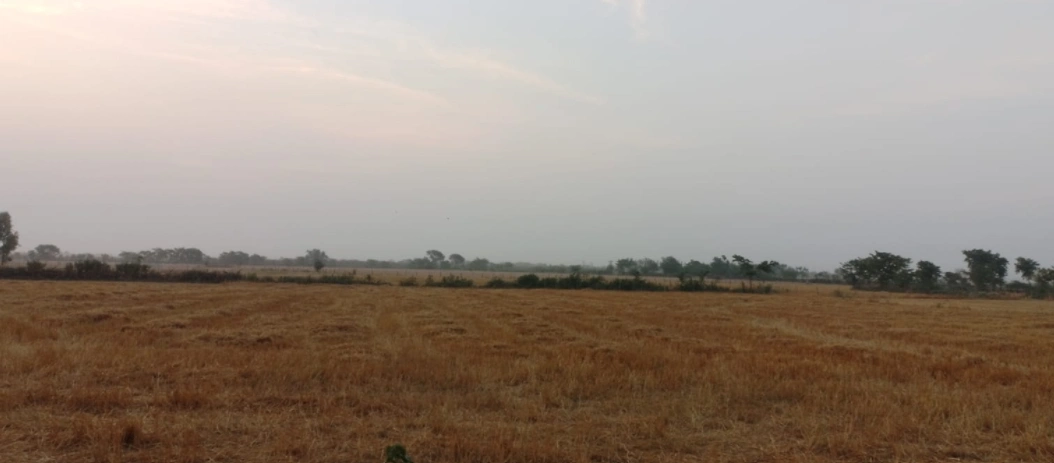 Tewar, Punjab 140301, India preview 2