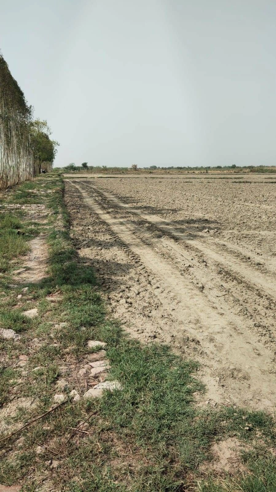 Ajijpur, Uttar Pradesh, India