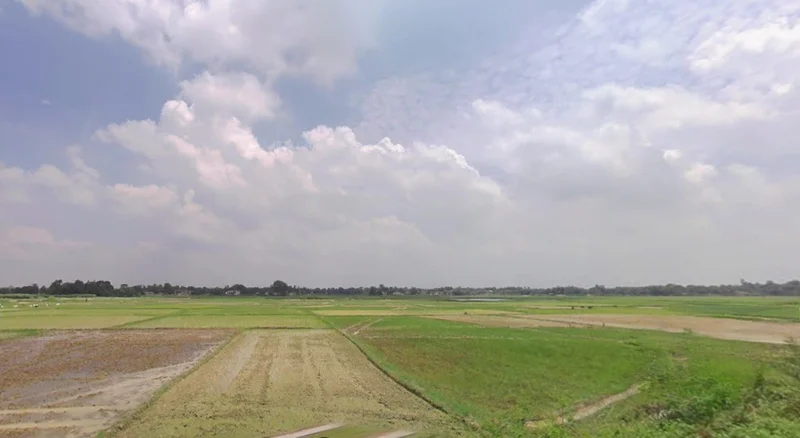 Nanaura Old Rd, Nanaura, Bihar 846005, India preview 2