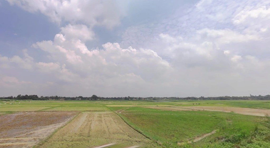 Nanaura Old Rd, Nanaura, Bihar 846005, India