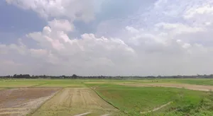 Nanaura Old Rd, Nanaura, Bihar 846005, India preview 2