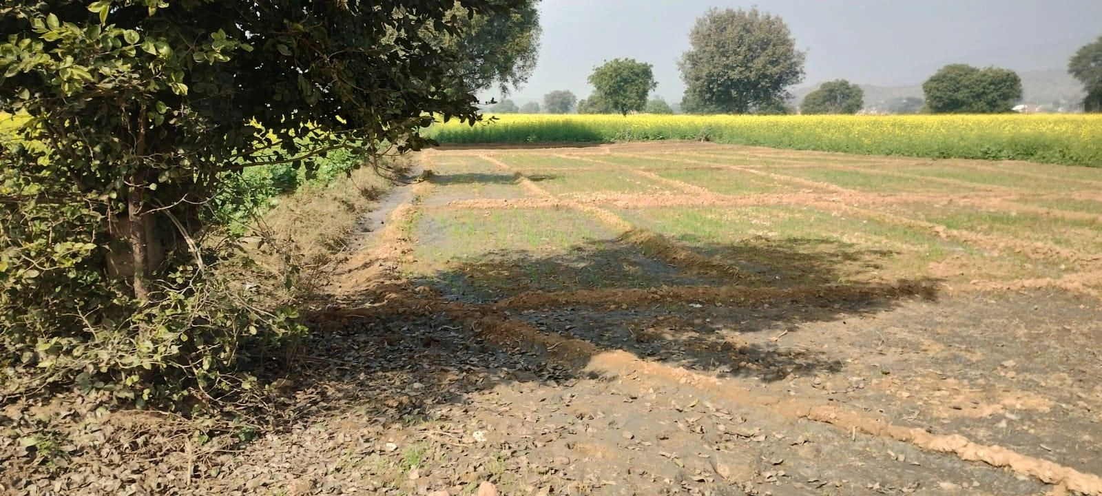 Aloda, Rajasthan 332602, India preview 3