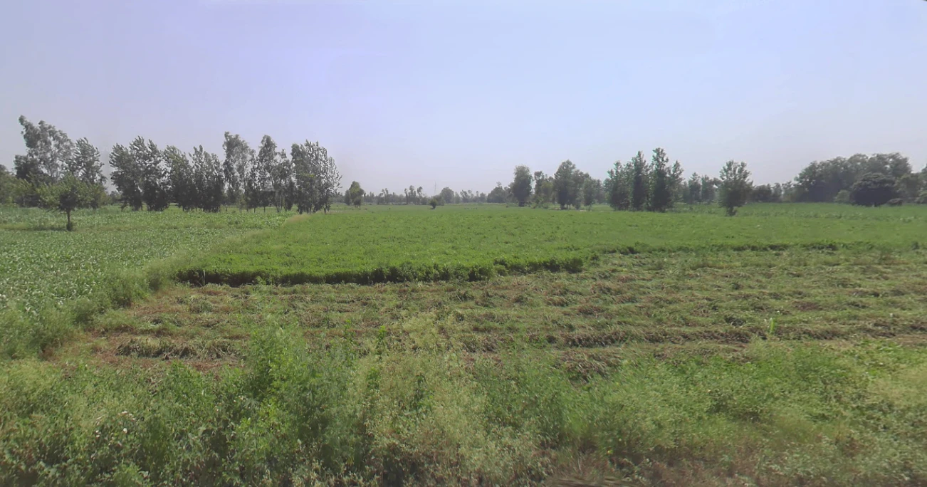 Tanda, Uttar Pradesh 244925, India