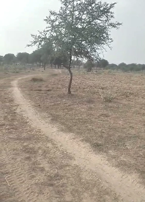 29F3+JJ Kableshwar, Rajasthan, India