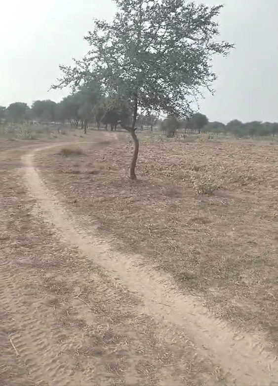 29F3+JJ Kableshwar, Rajasthan, India