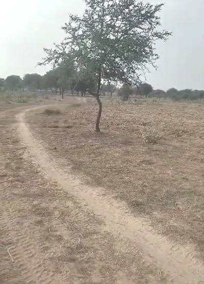 29F3+JJ Kableshwar, Rajasthan, India preview 3