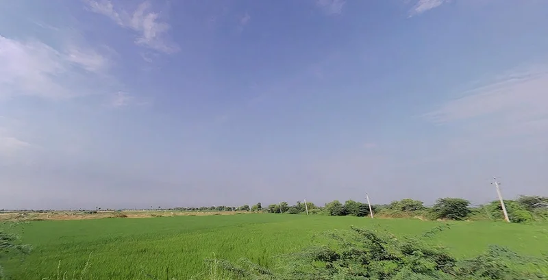 Mandkola, Haryana 121103, India preview 2