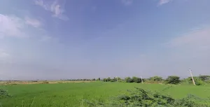 Mandkola, Haryana 121103, India preview 2