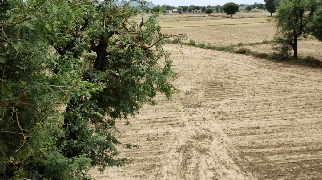 Barnagar, Madhya Pradesh 456771, India