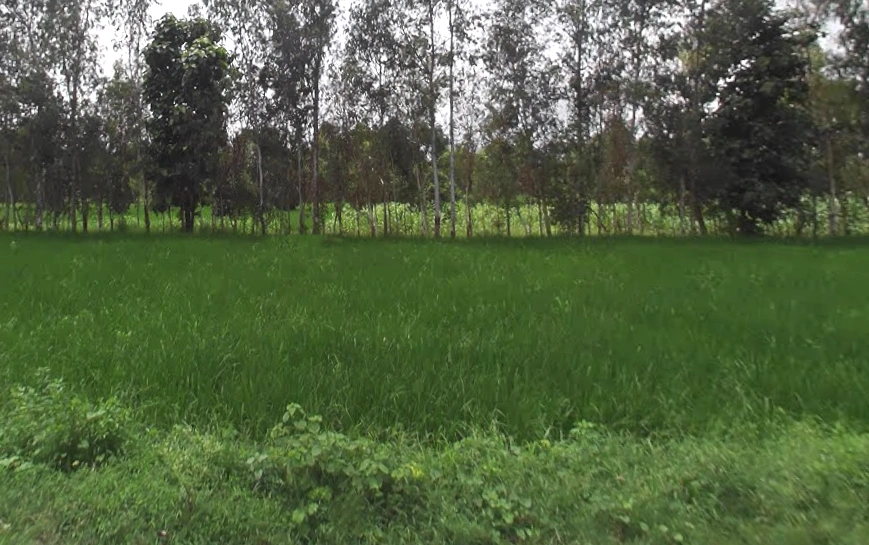 Navrangpur, Uttar Pradesh 247129, India