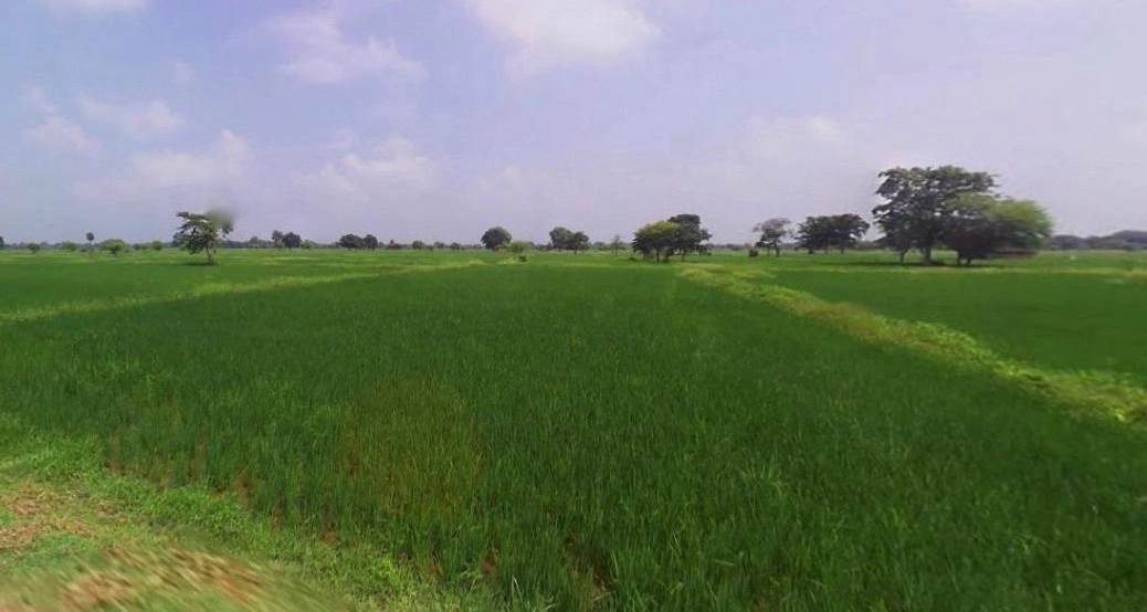 Tarana, Madhya Pradesh 456665, India