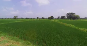 Tarana, Madhya Pradesh 456665, India preview 3