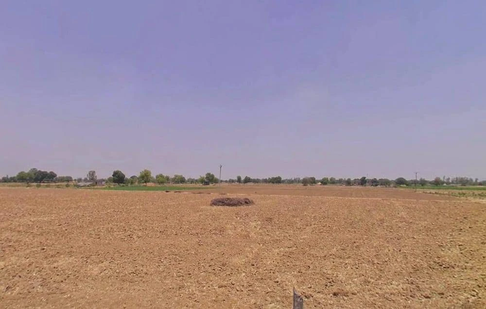 Koth Kalan, Haryana 125039, India