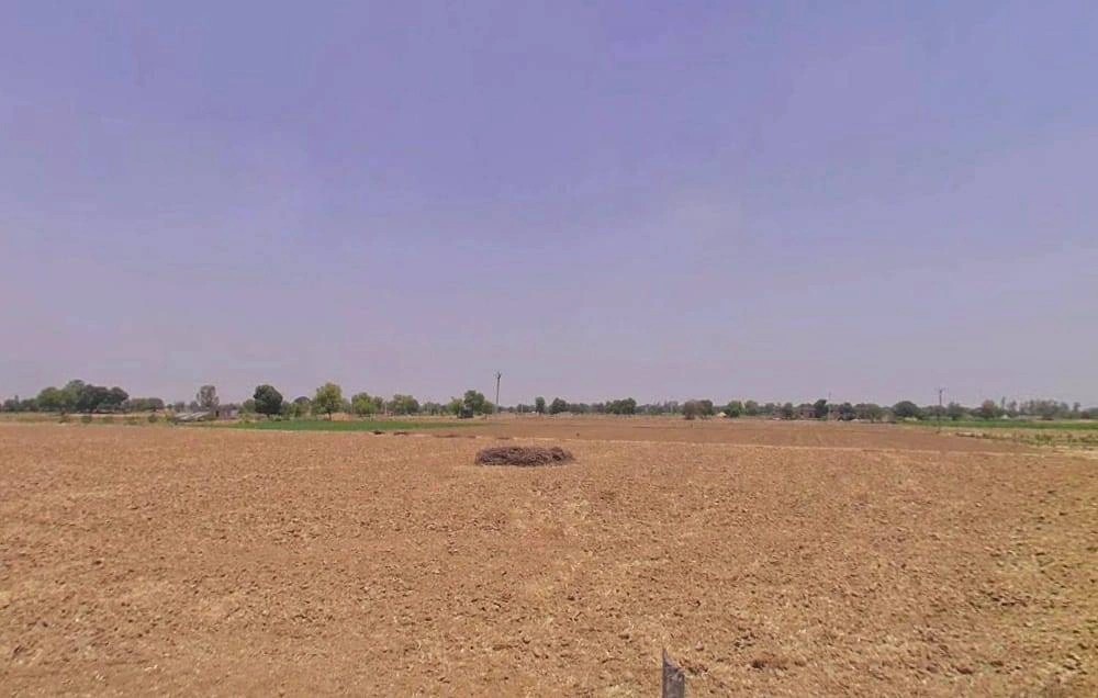 Koth Kalan, Haryana 125039, India