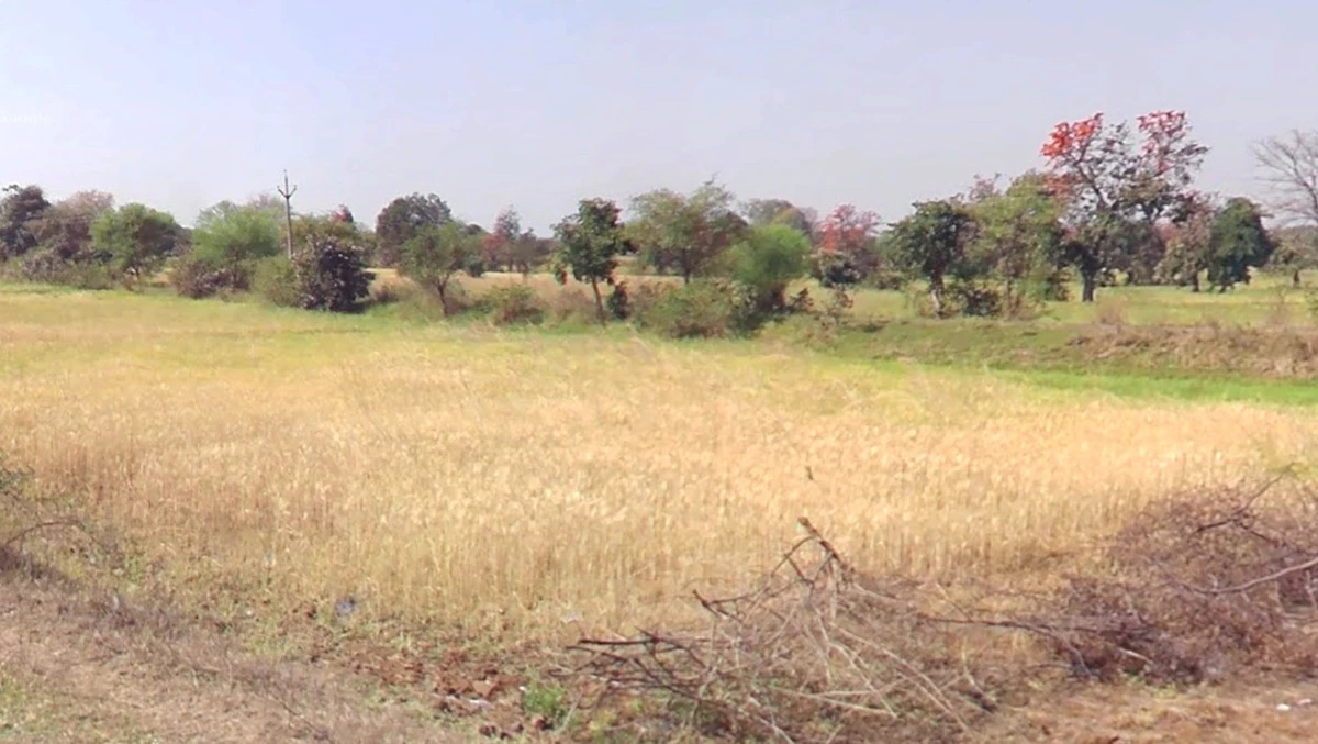 4528+6R4, Pahadi Kheda, Madhya Pradesh, India