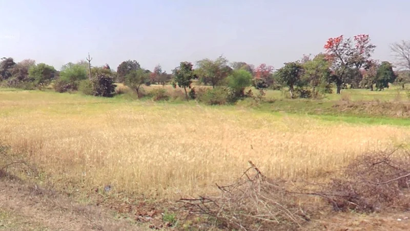 4528+6R4, Pahadi Kheda, Madhya Pradesh, India preview 3