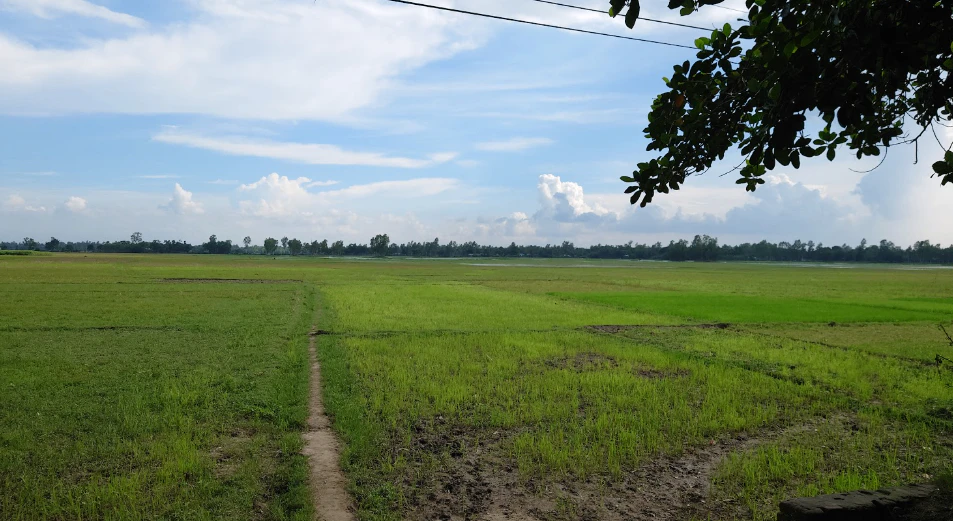 Tarkan Wali, Haryana 125110, India