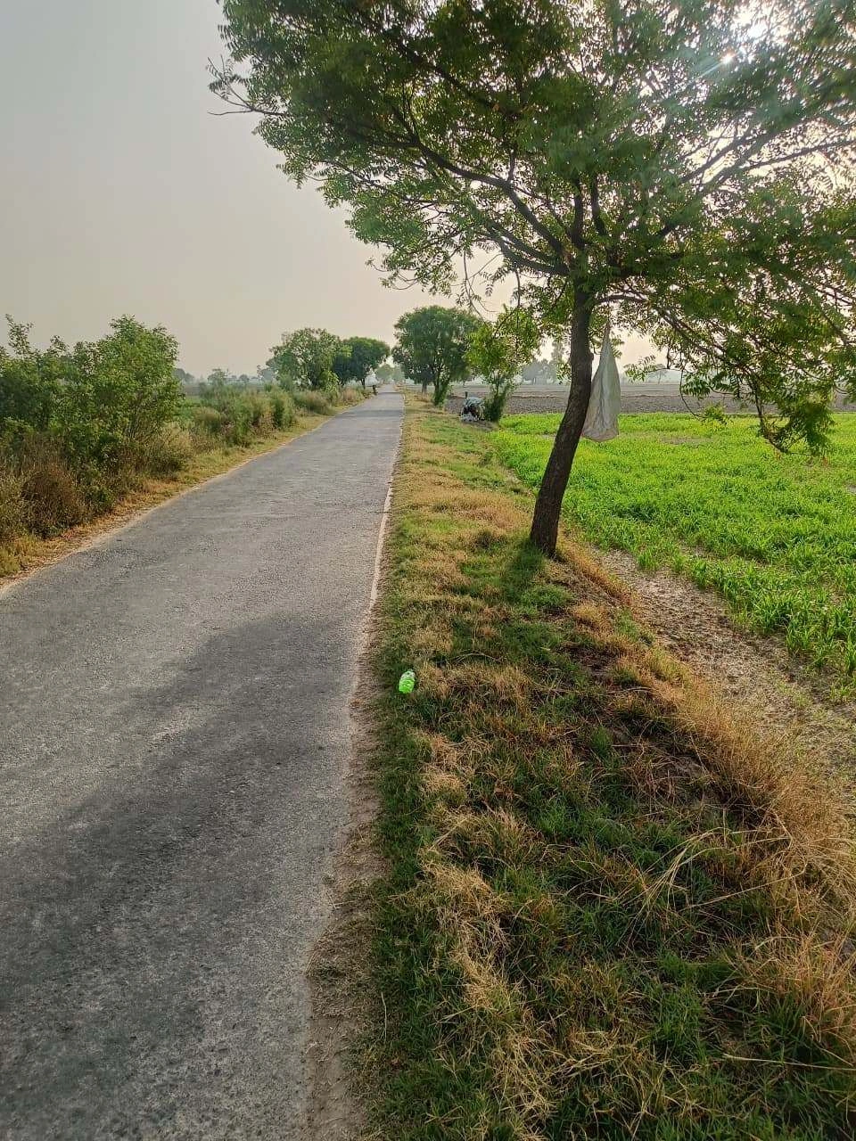 Tentigaon, Uttar Pradesh, India
