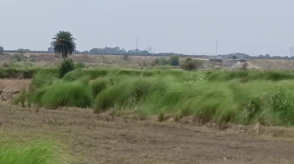 Purwa, Uttar Pradesh, India preview 2