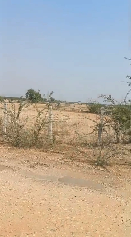 XVQH+62 Bhojpura, Rajasthan, India