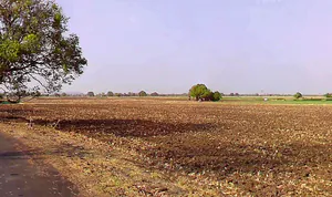 Mangaliya, Madhya Pradesh 465226, India preview 2