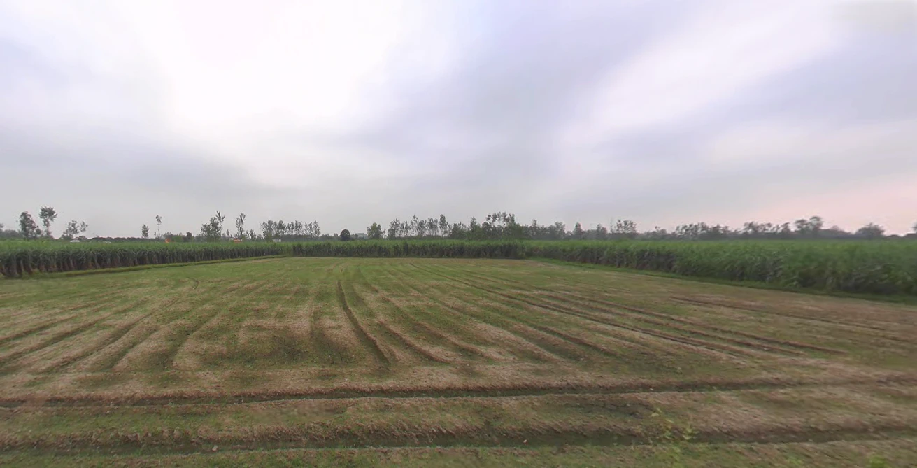 Purquazi, Uttar Pradesh, India