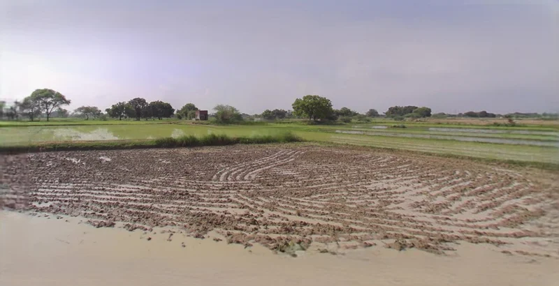 Ujjain, Madhya Pradesh, India preview 3