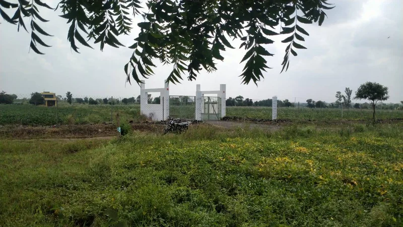 Piplya Indore, Madhya Pradesh 465110, India preview 3