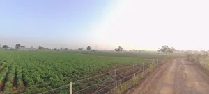 Balva, Gujarat 382650, India preview 3