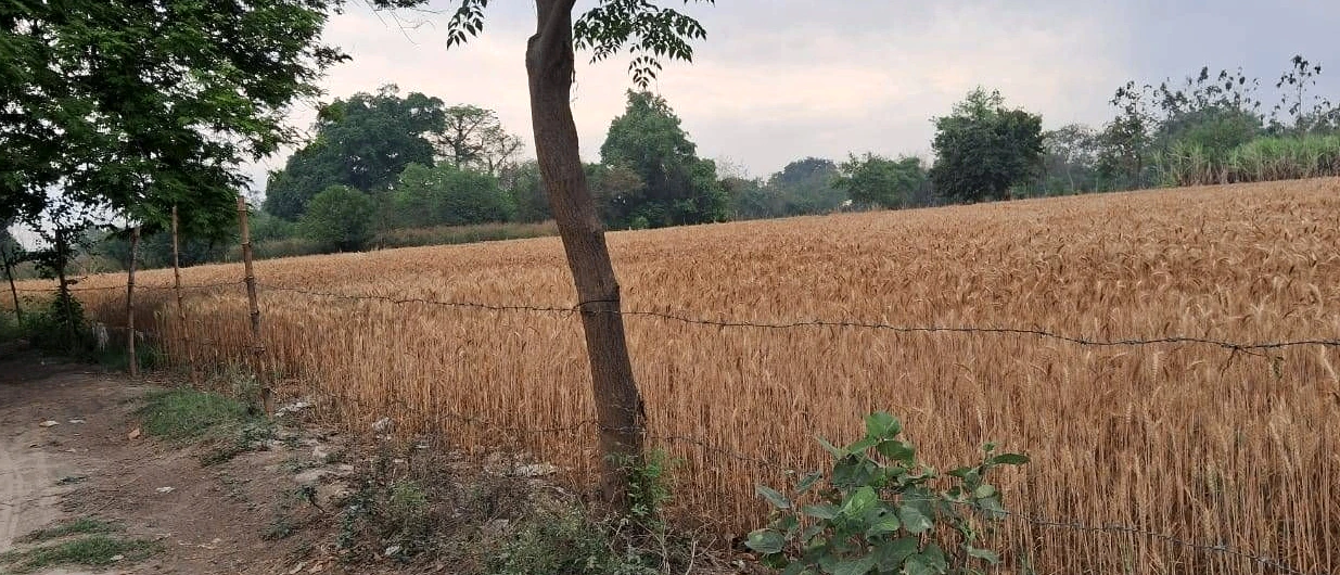 Yusufpur Rd, Yusufpur, Bihar 844121, India