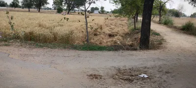 Kherli Veeran, Rajasthan 301021, India preview 3
