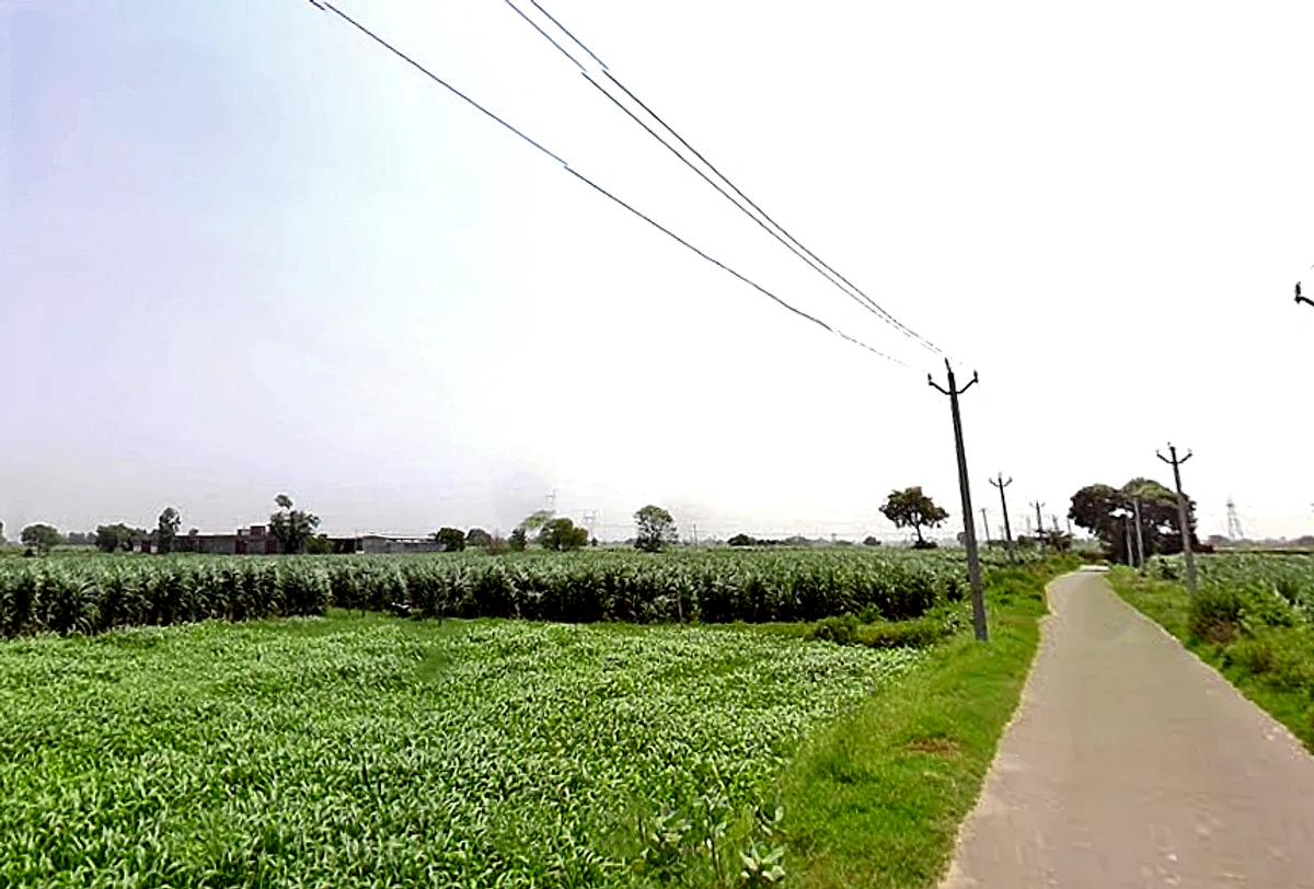 Satwai, Uttar Pradesh, India